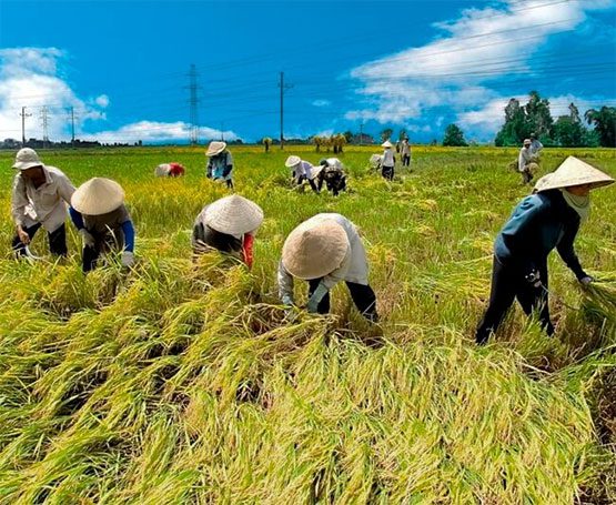国際的な企業がベトナムの経済の見通しについて肯定的なコメントを発表